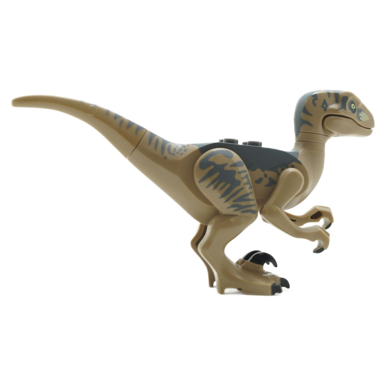 Dinosaurier Raptor / Velociraptor mit dunkelgrauem Rücken 