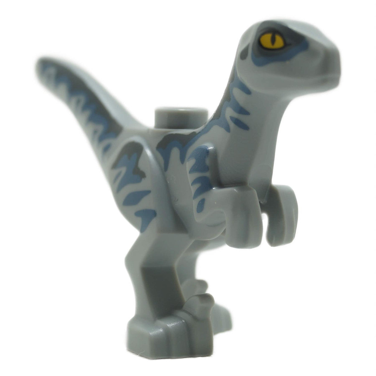 Baby Velociraptor Dinosaur with Dark Bluish Gray and Sand Blue Markings - MPN 77862pb02