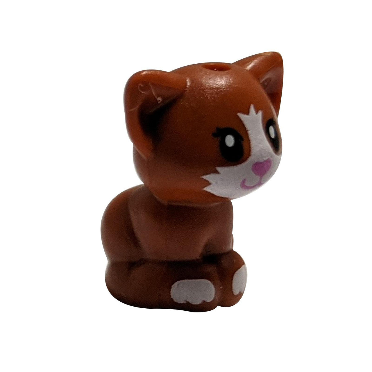 Dark Orange Cat, Friends, Baby Kitten, Sitting with Dark Pink Nose, White Muzzle and Paws Pattern