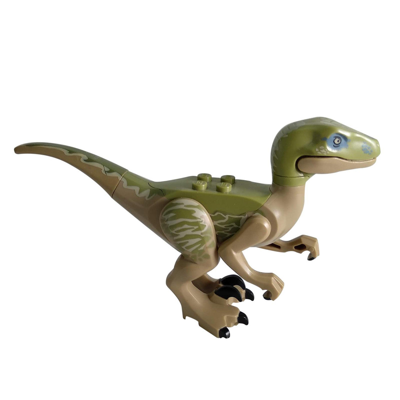 Raptor - Velociraptor Delta from Jurassic world I right looking