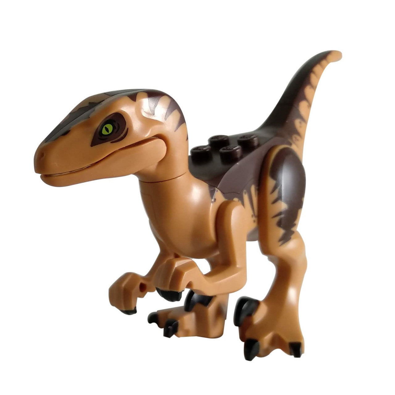 Raptor - Velociraptor with Dark Brown Back LEGO Dinosaurs front