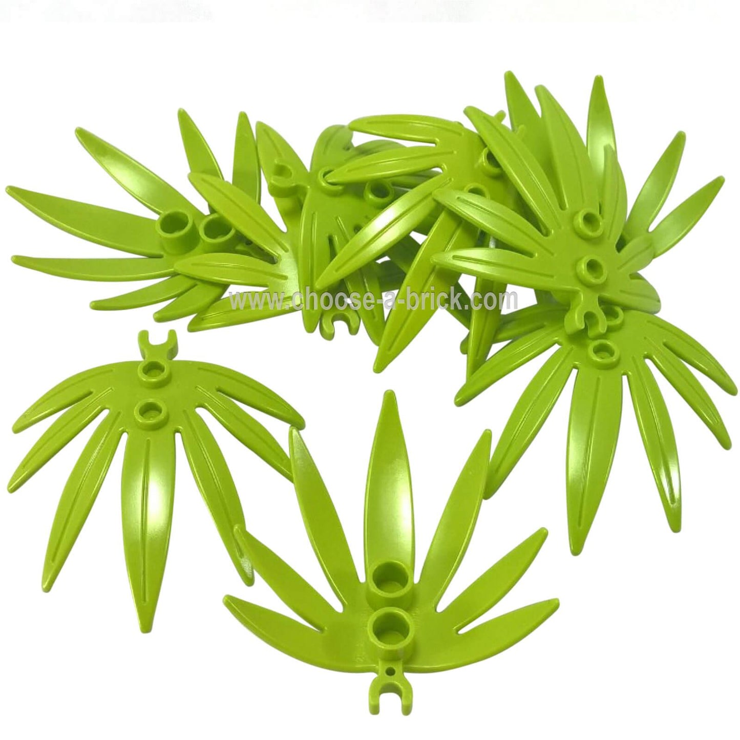 Plant Leaves 6 x 5 Swordleaf with Clip (thick open O clip)