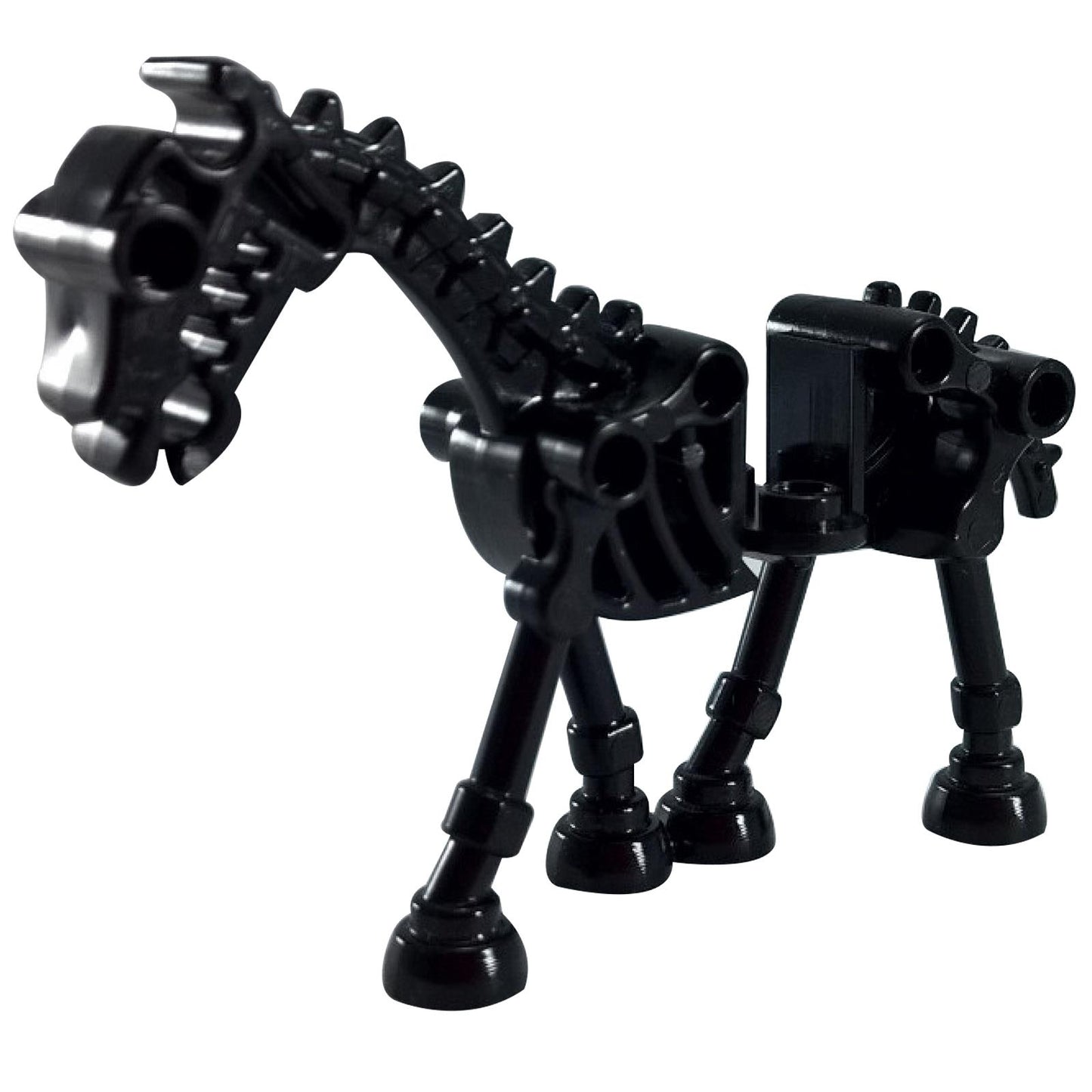 Horse, Skeletal / Skeleton