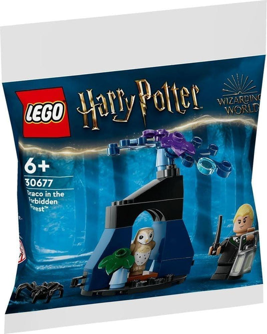 30677 Draco in the Forbidden Forest polybag