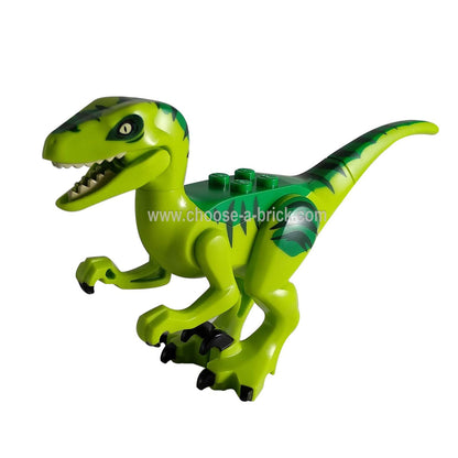 Dinosaur, Raptor / Velociraptor with Green Back