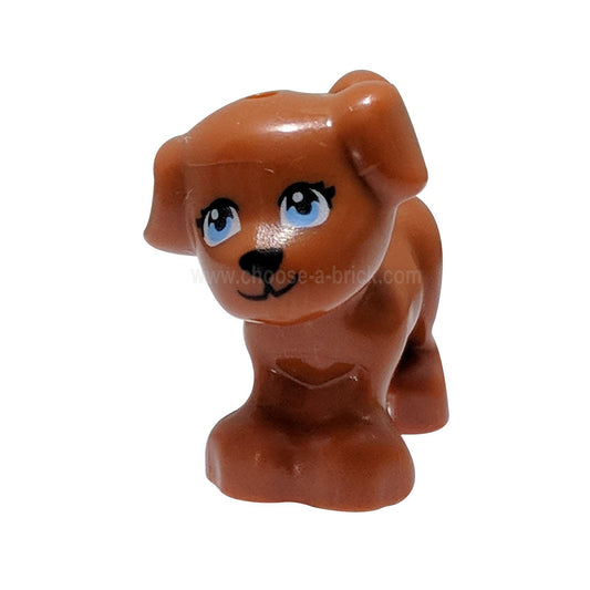 Dog,, Puppy, Standing with Bright Light Blue Eyes and Black Nose, Mouth and Eyelashes Pattern (Coco)