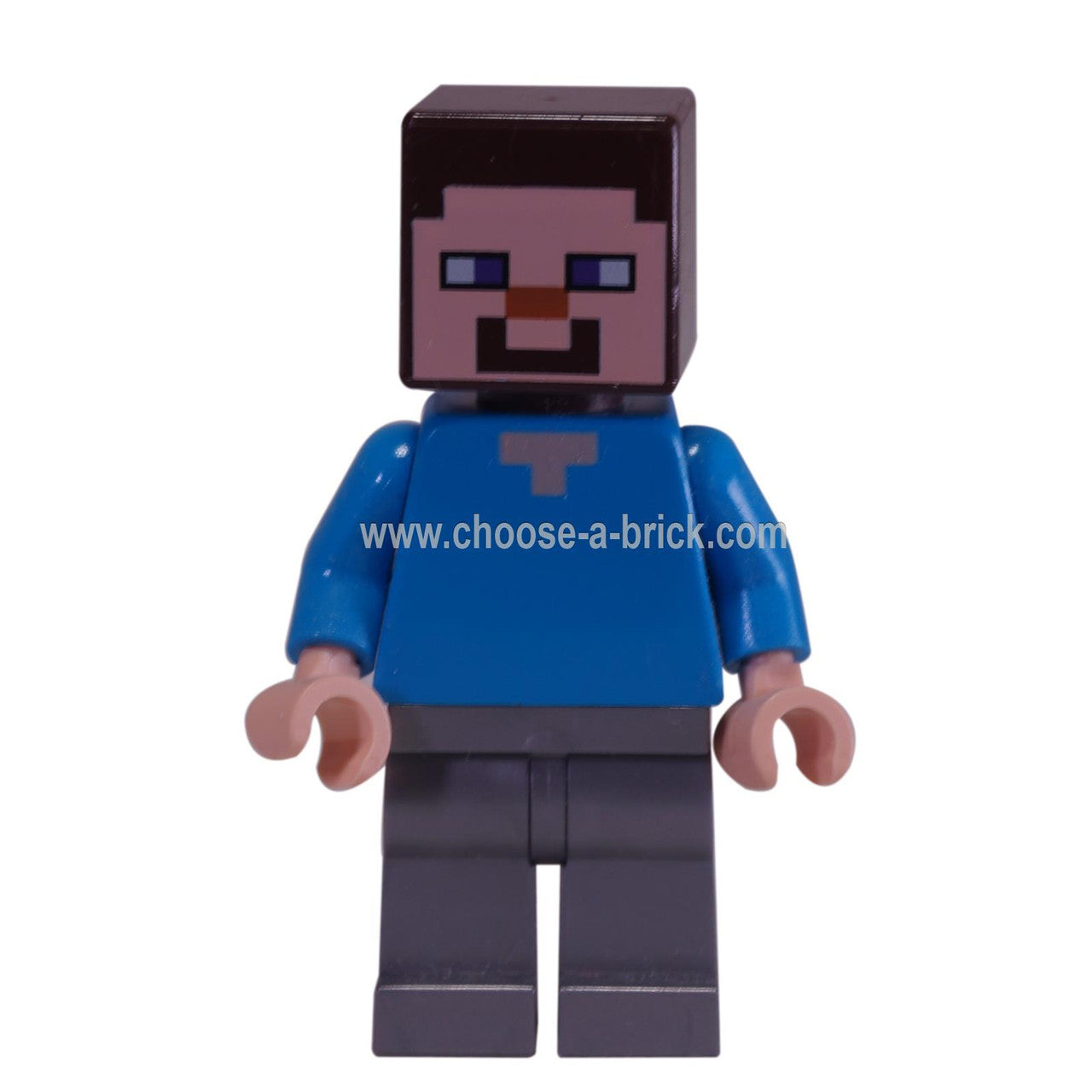 Steve (min048) with iron leg armor