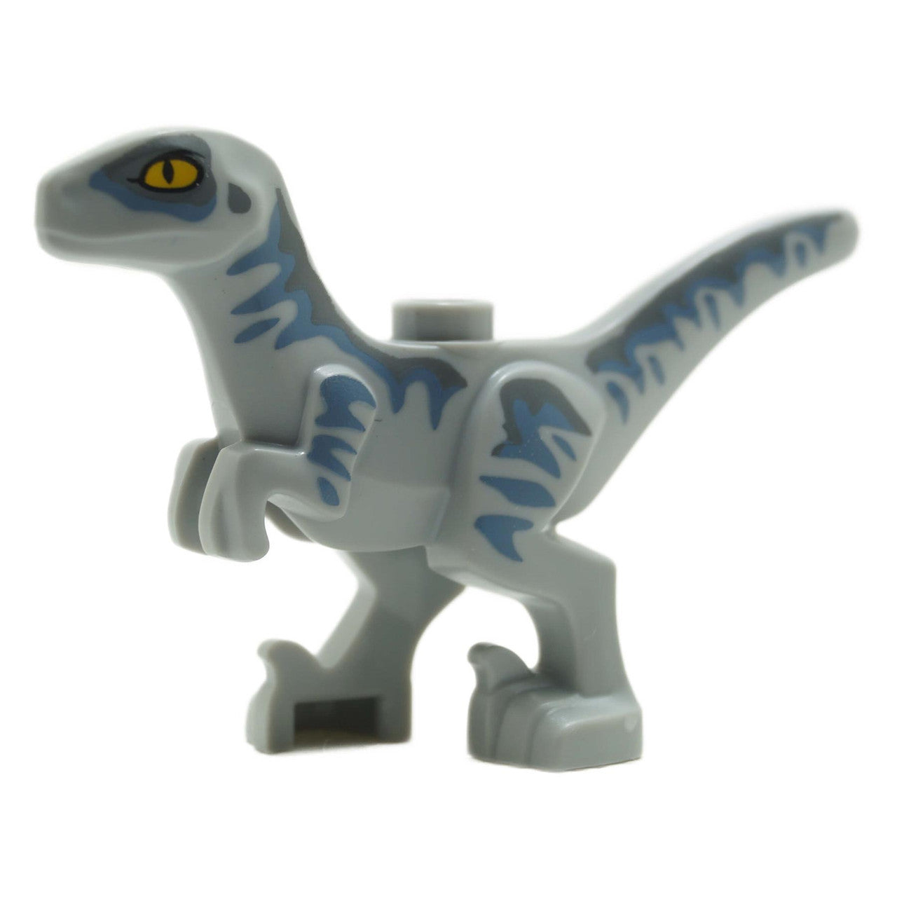 Baby Velociraptor Dinosaur with Dark Bluish Gray and Sand Blue Markings - MPN 77862pb02