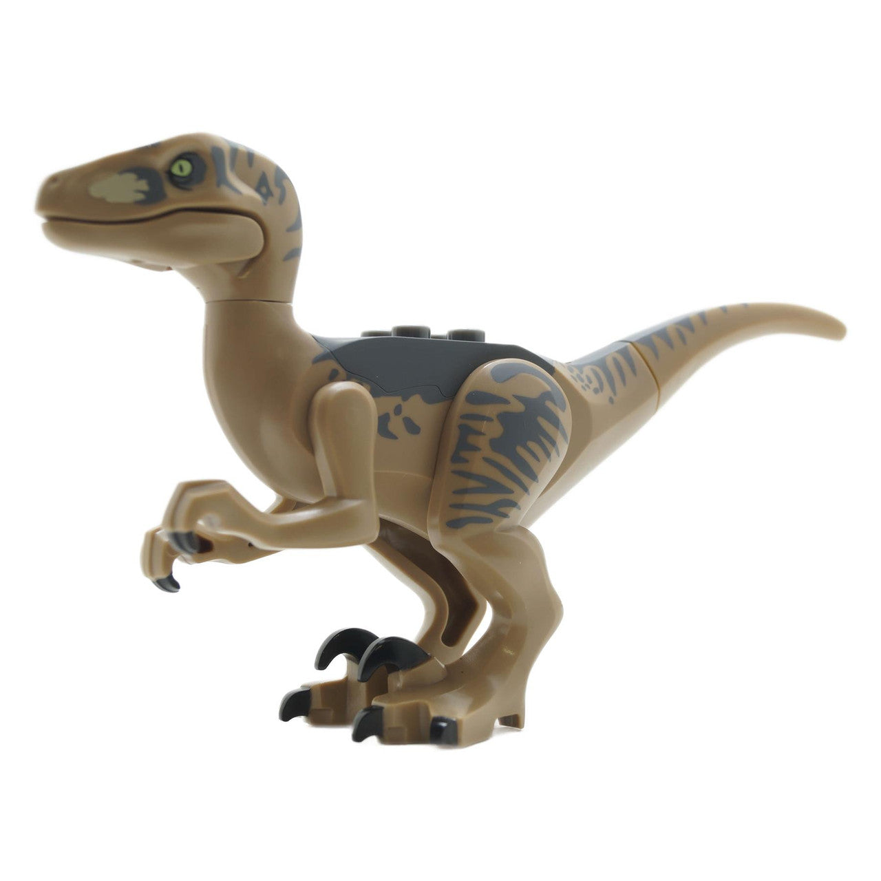 Dinosaurier Raptor / Velociraptor mit dunkelgrauem Rücken 