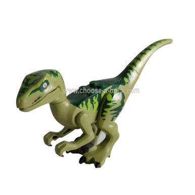 Raptor - Velociraptor Charlie from Jurassic world I